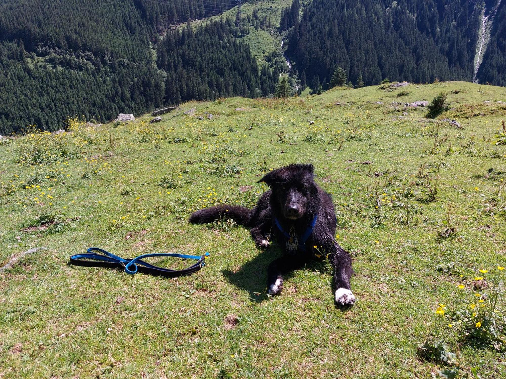 Fasserhof Bramberg am Wildkogel Ngoại thất bức ảnh