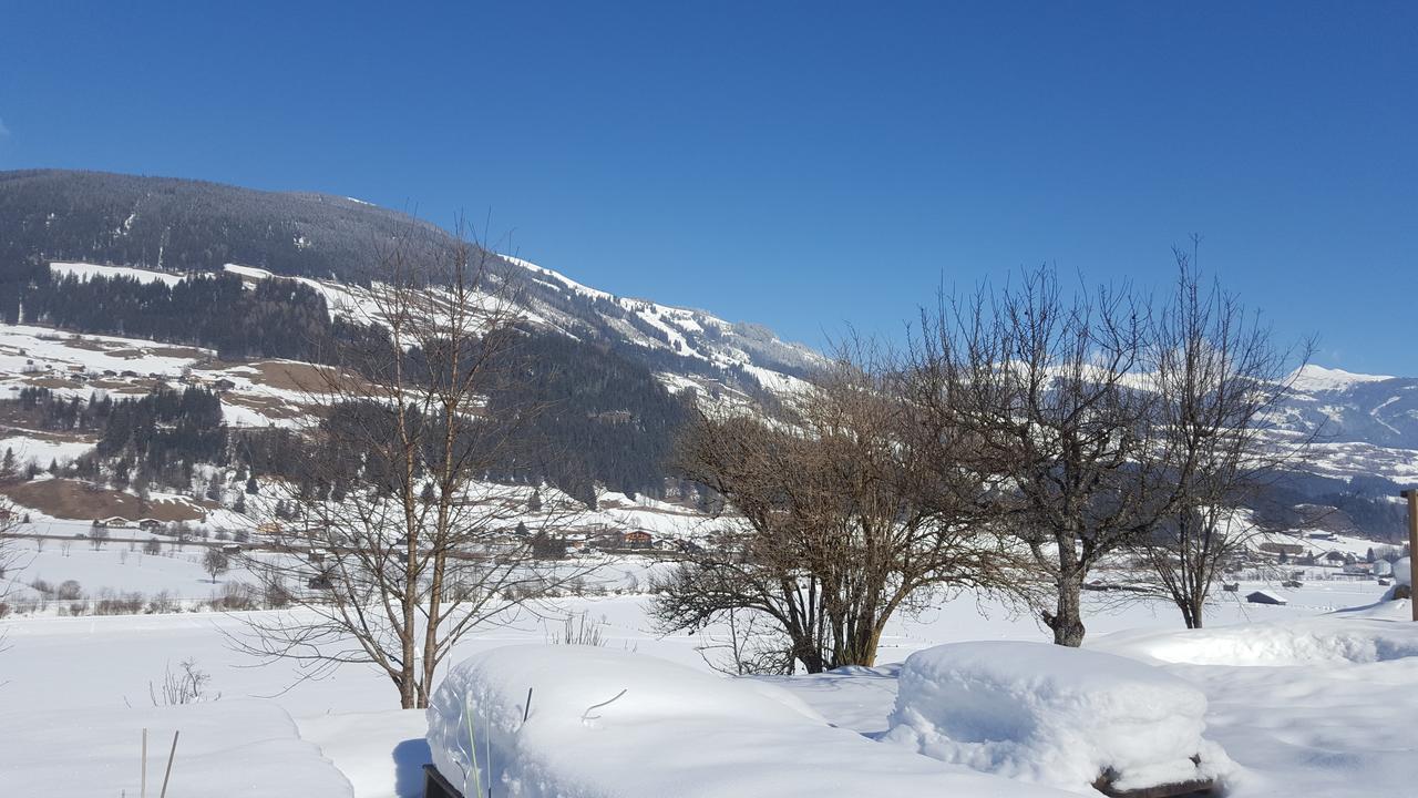 Fasserhof Bramberg am Wildkogel Ngoại thất bức ảnh