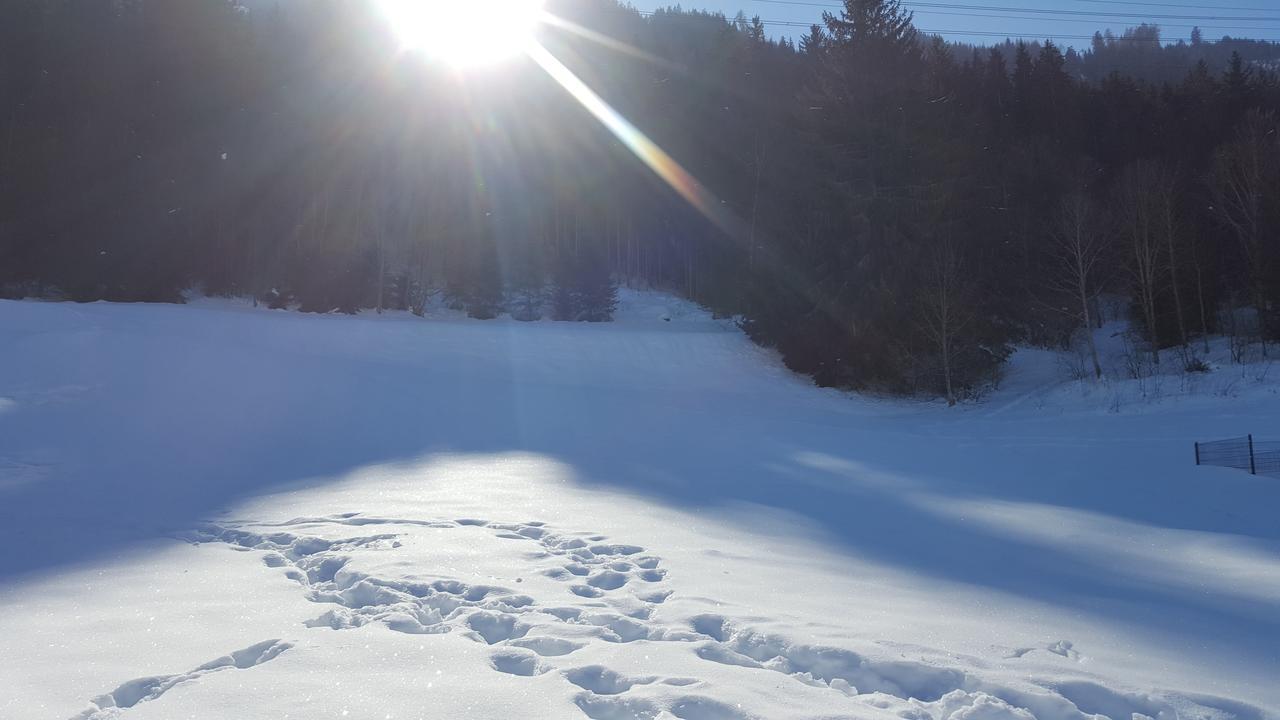 Fasserhof Bramberg am Wildkogel Ngoại thất bức ảnh